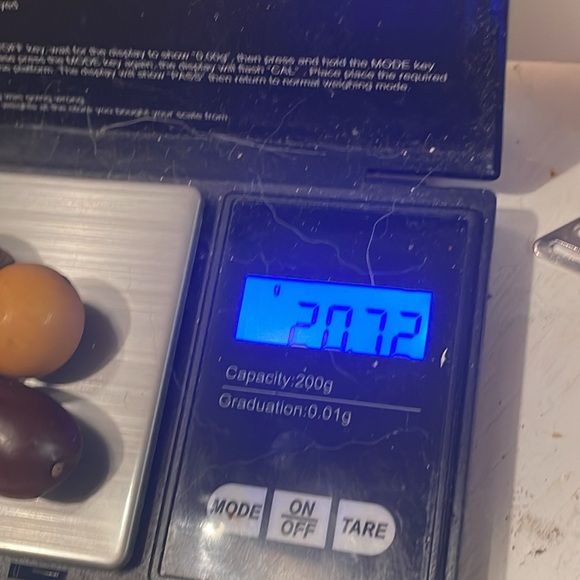 Vintage German mixed metal gold tone bracelet w/10 natural seeds pods nuts charm - Picture 13 of 13